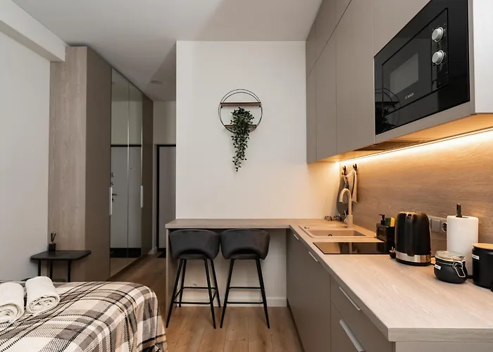 Chic Apartament Wilno